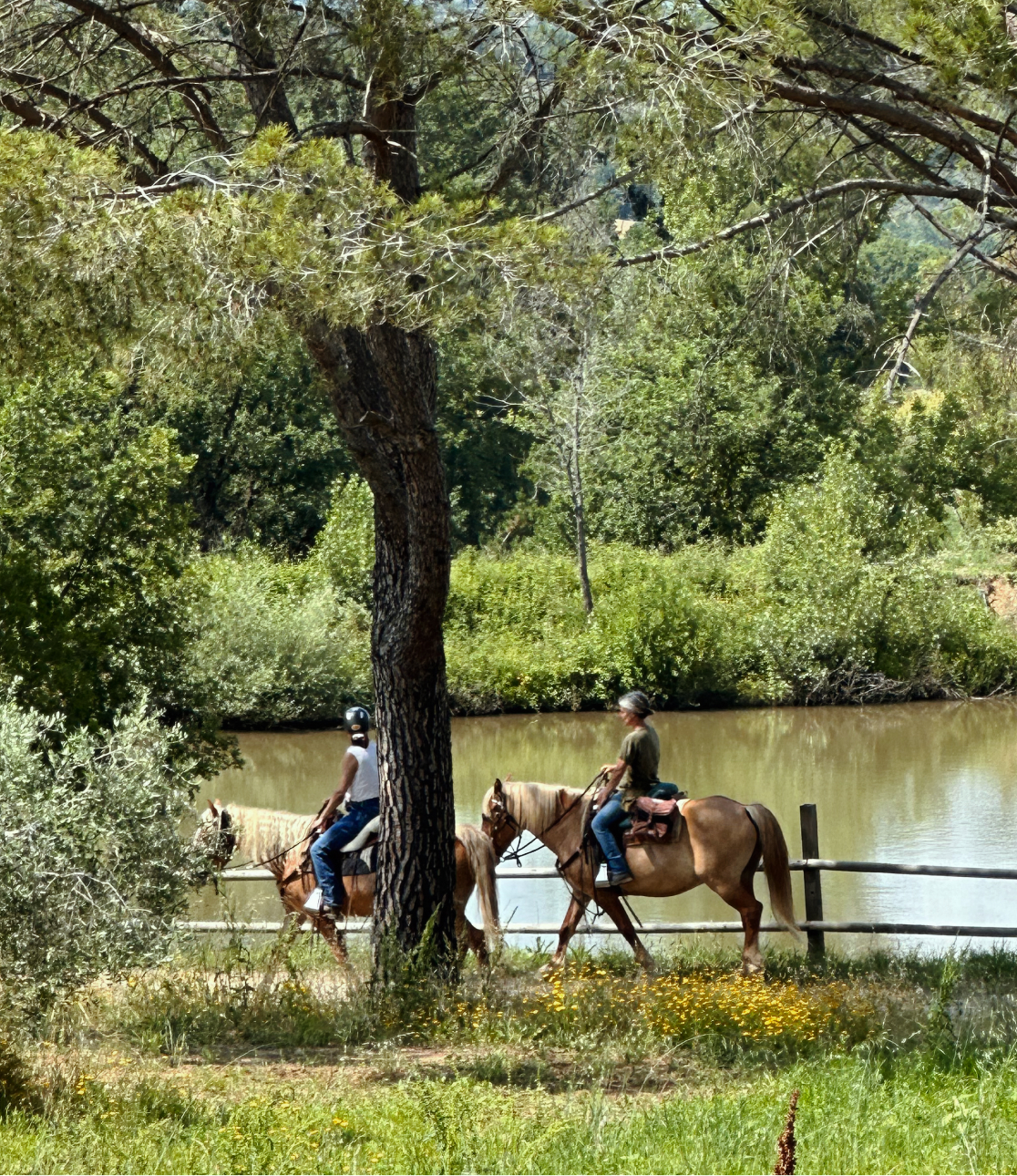 Gio Ranch